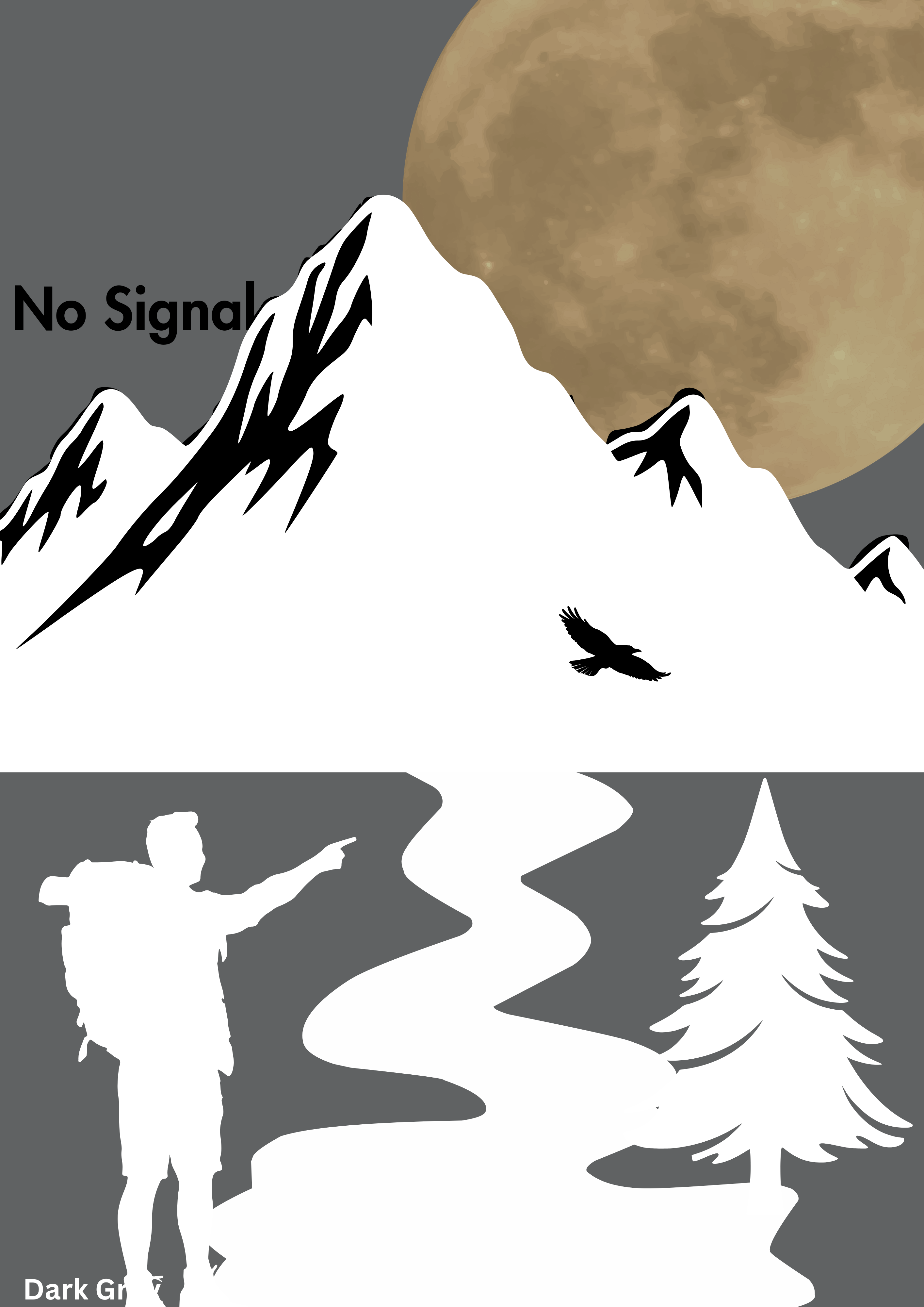 No Signal