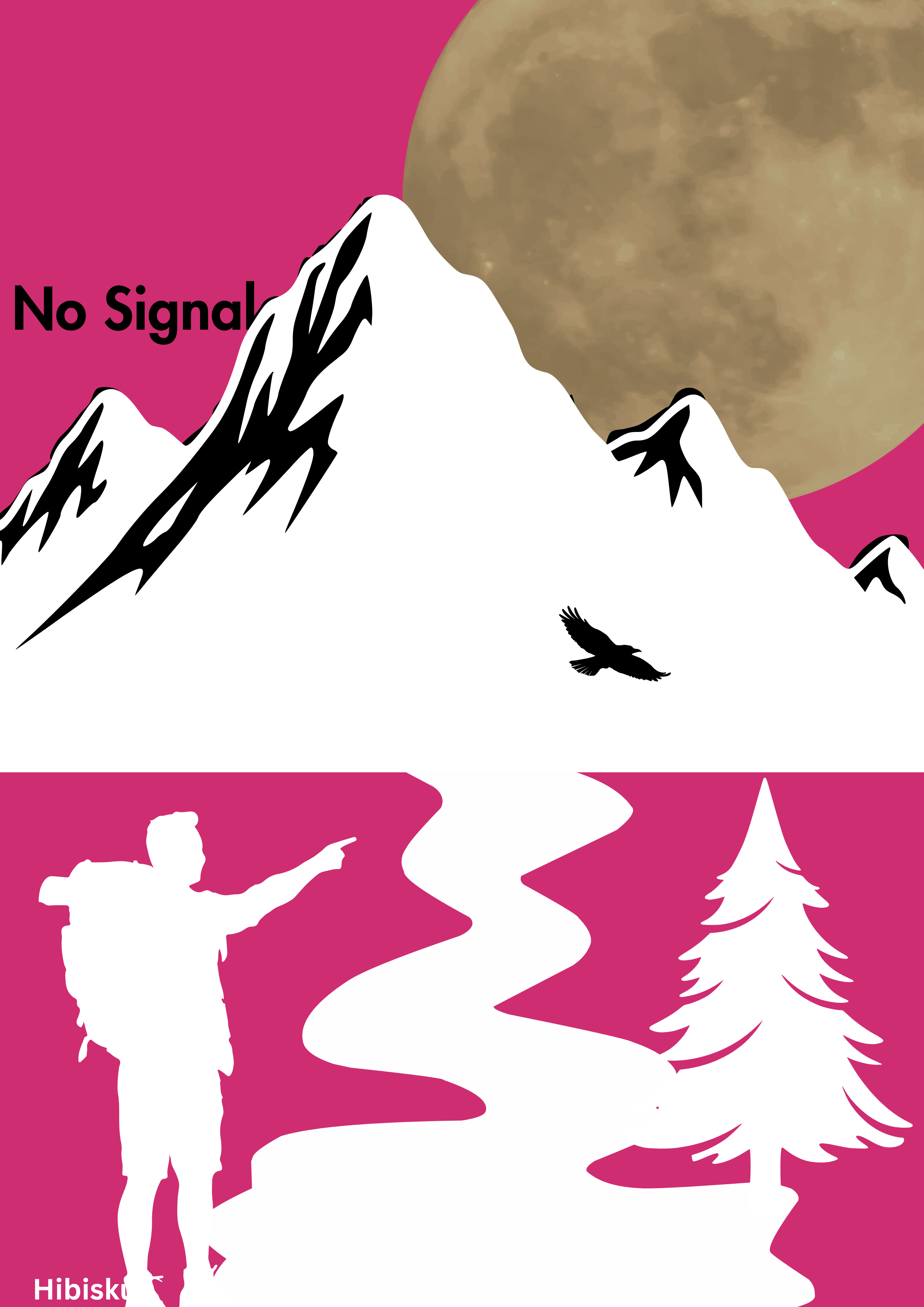 No Signal