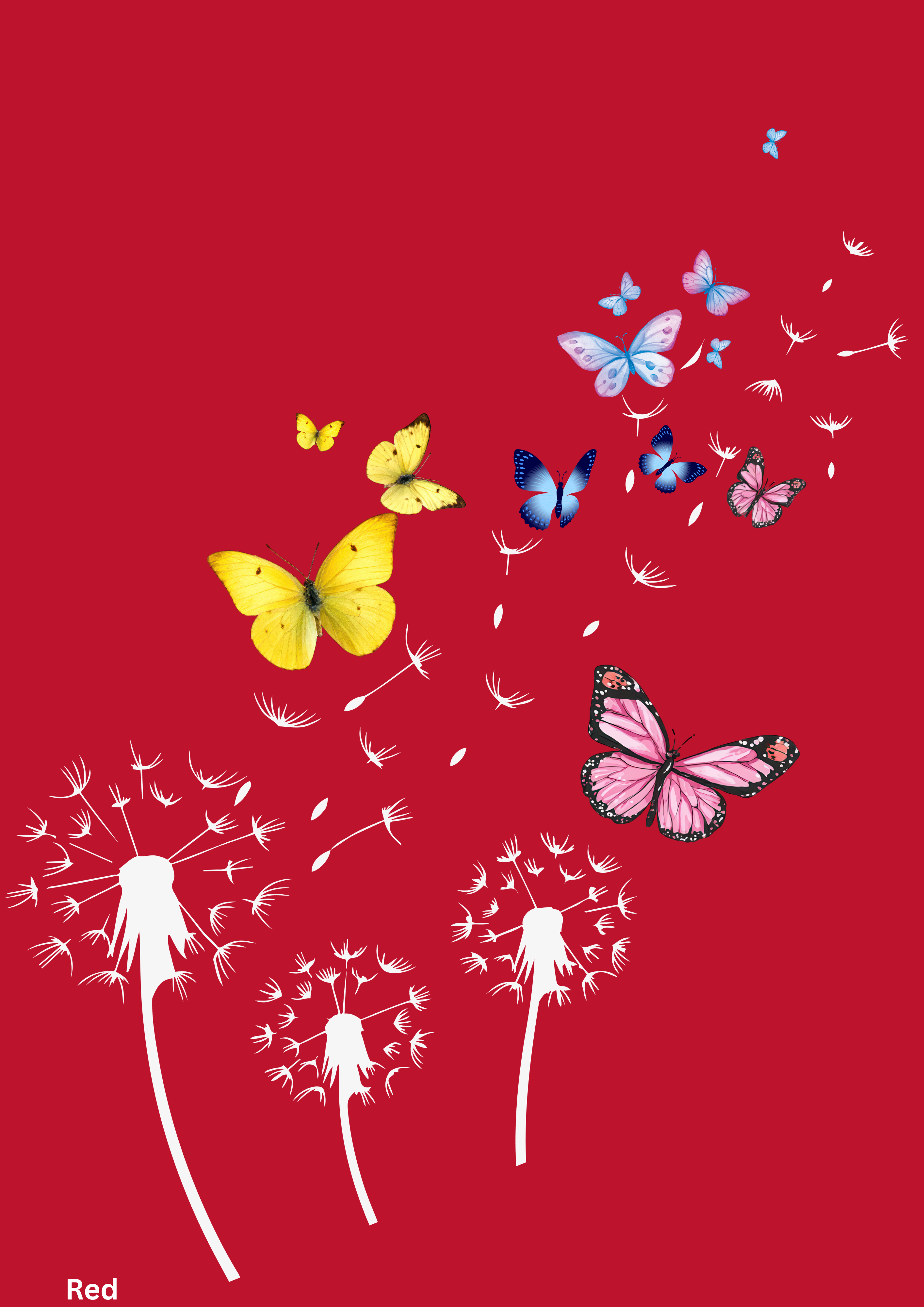 Butterfly Dreams