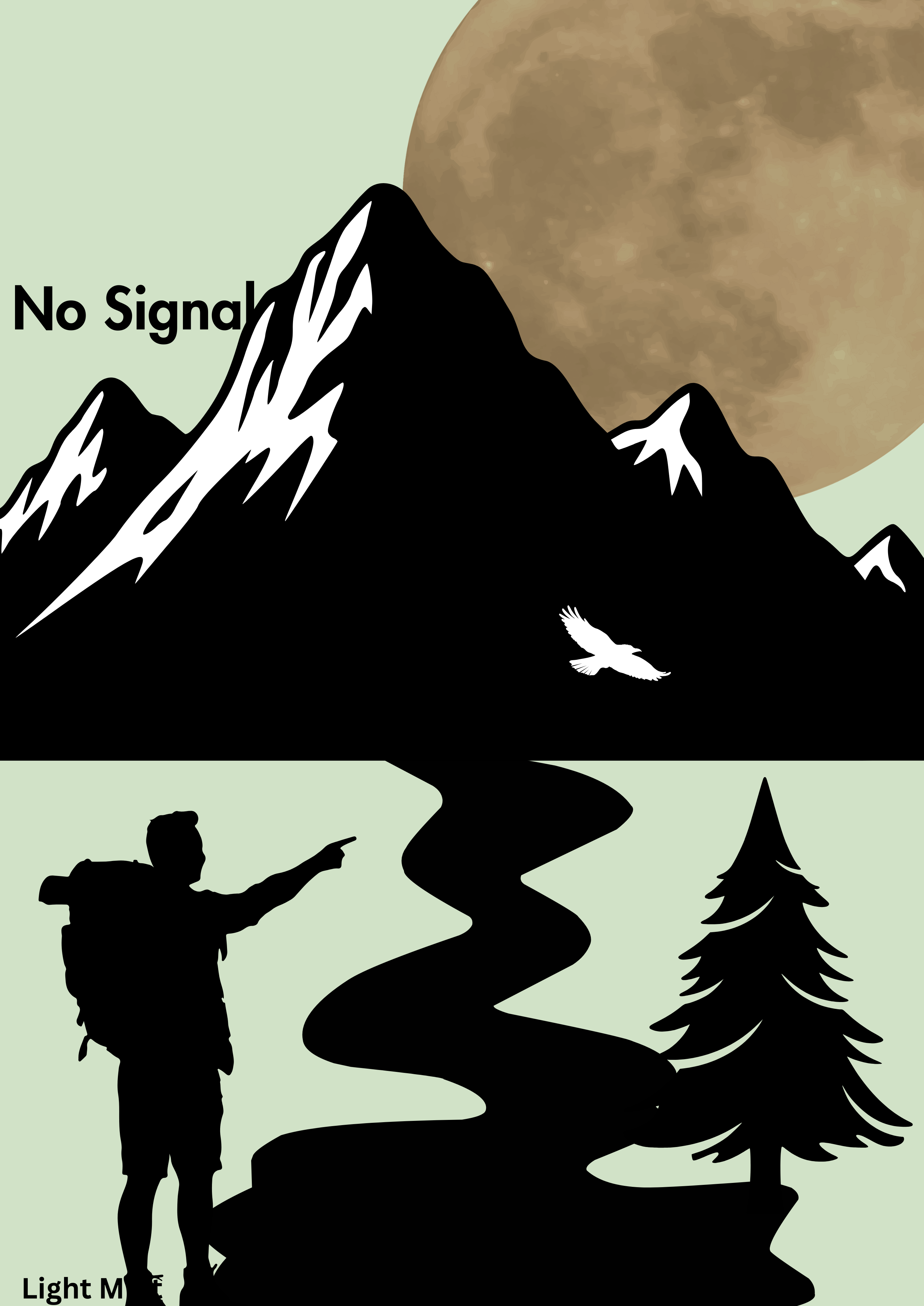 No Signal