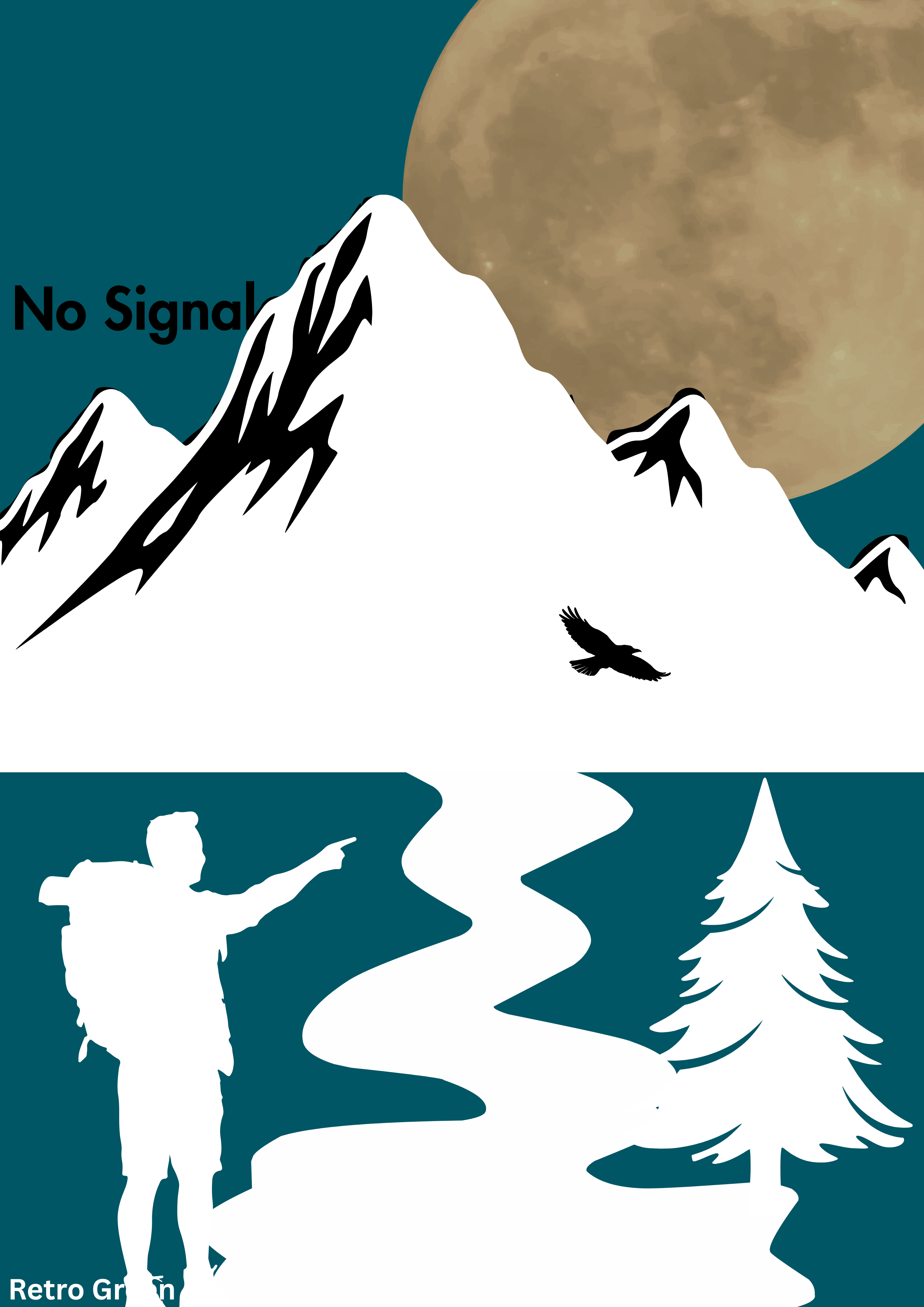 No Signal