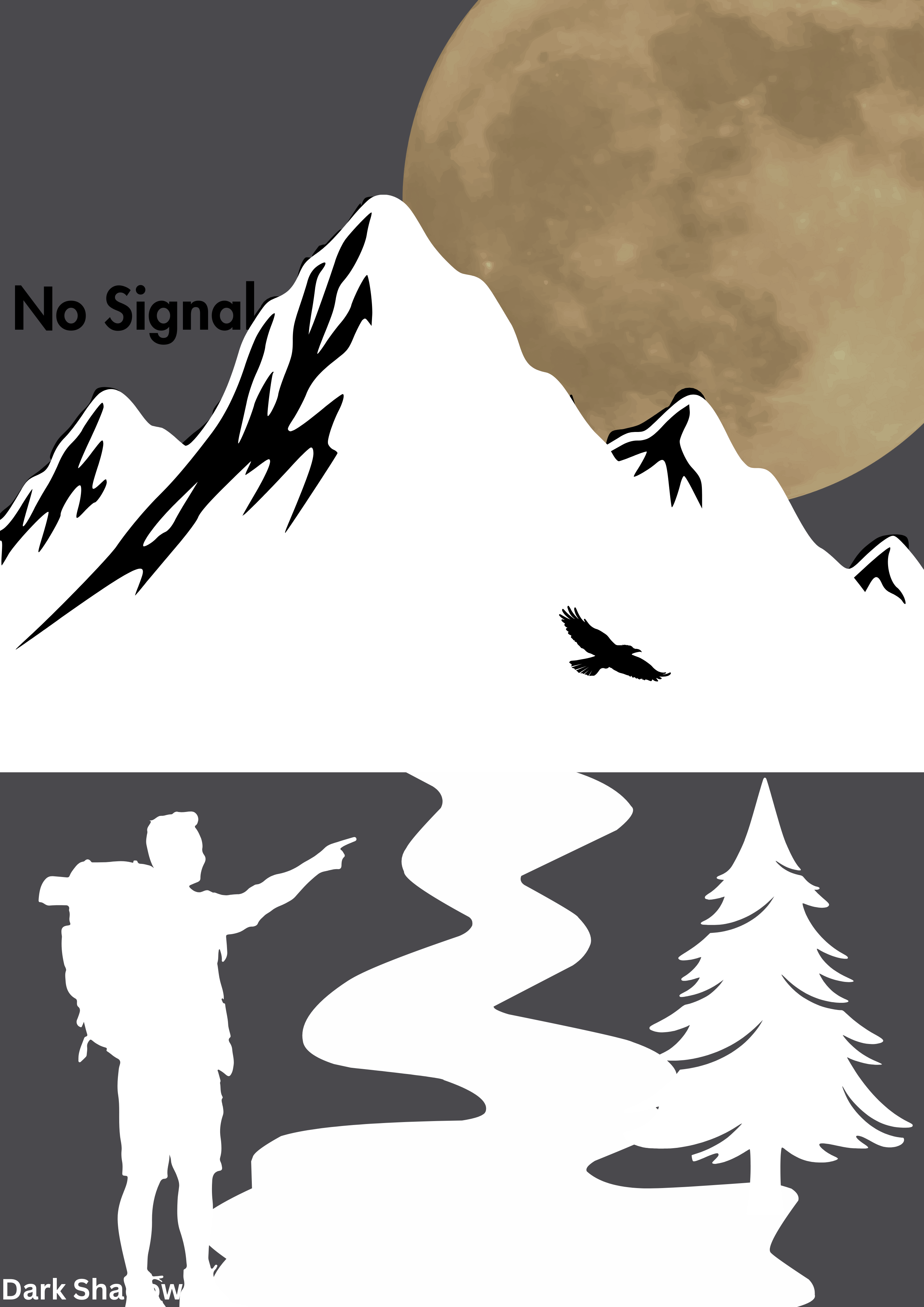 No Signal