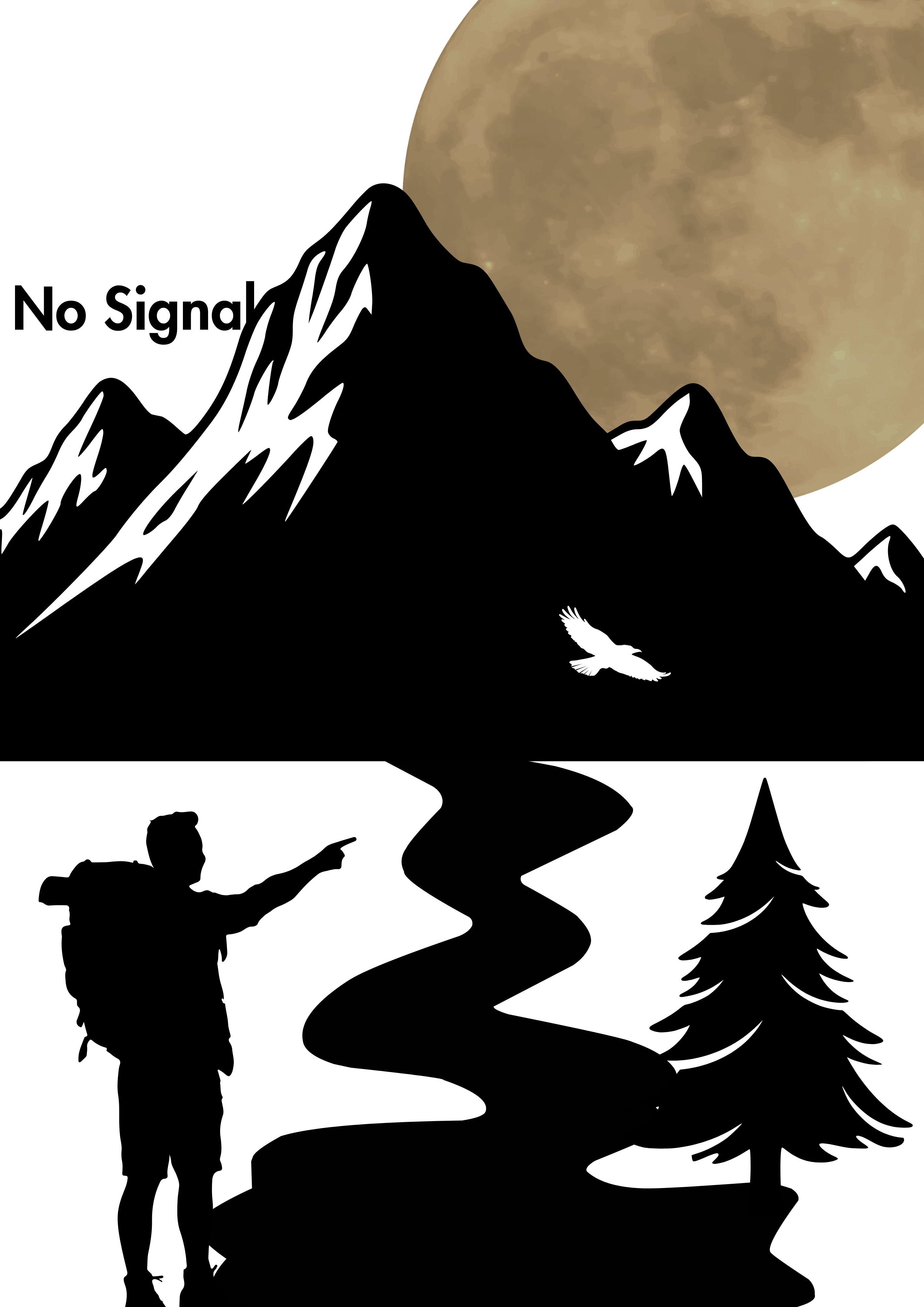 No Signal