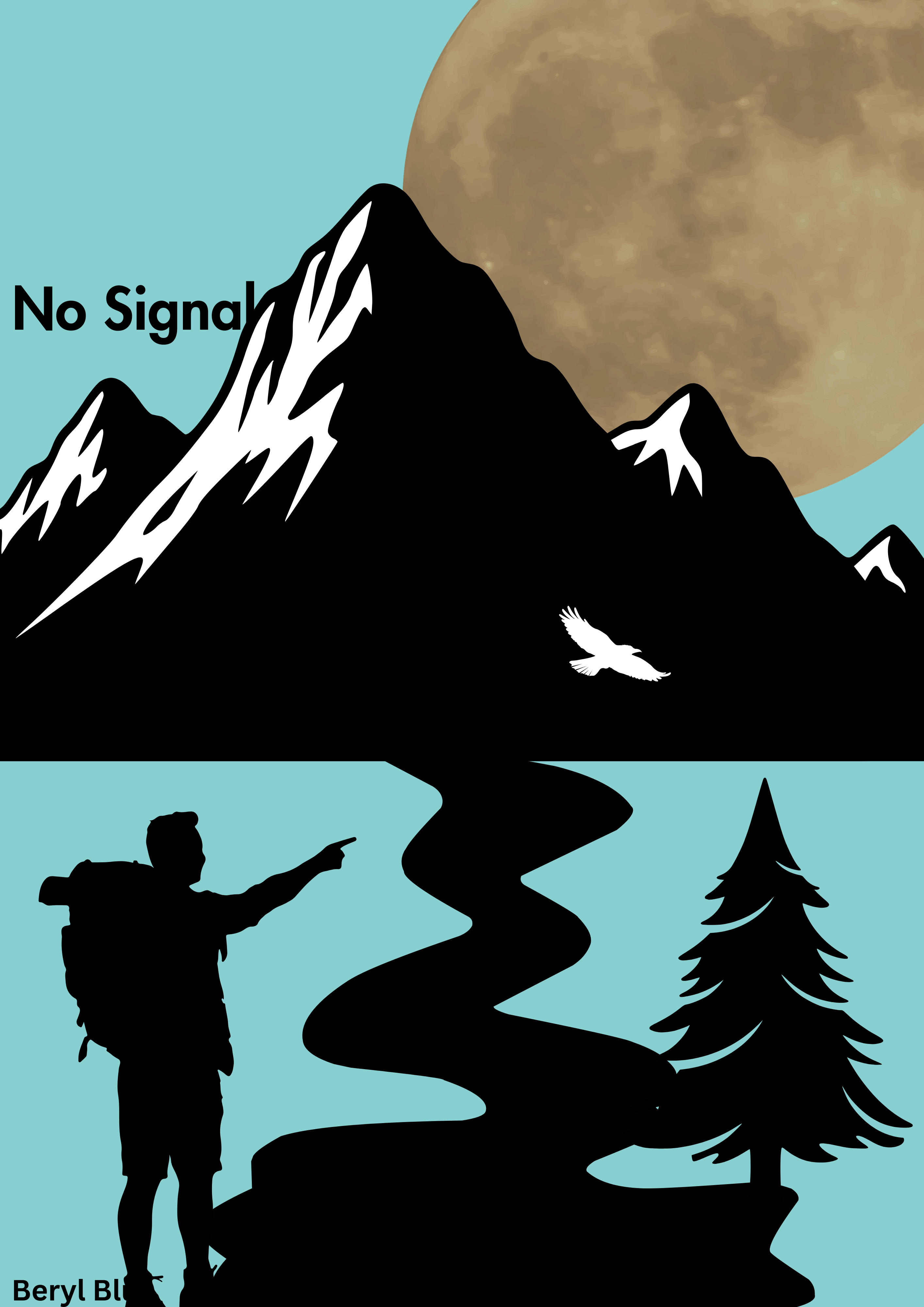 No Signal