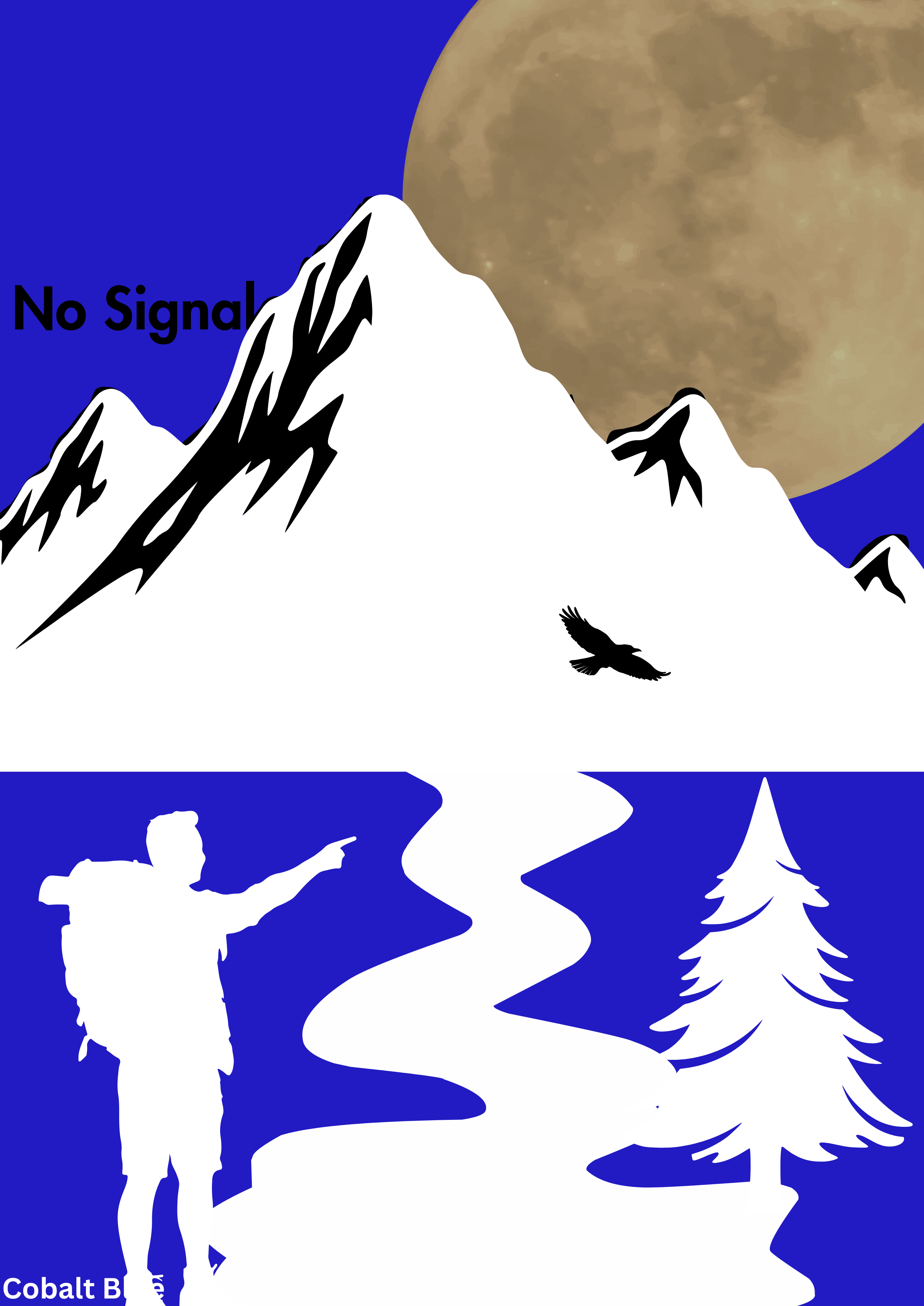 No Signal