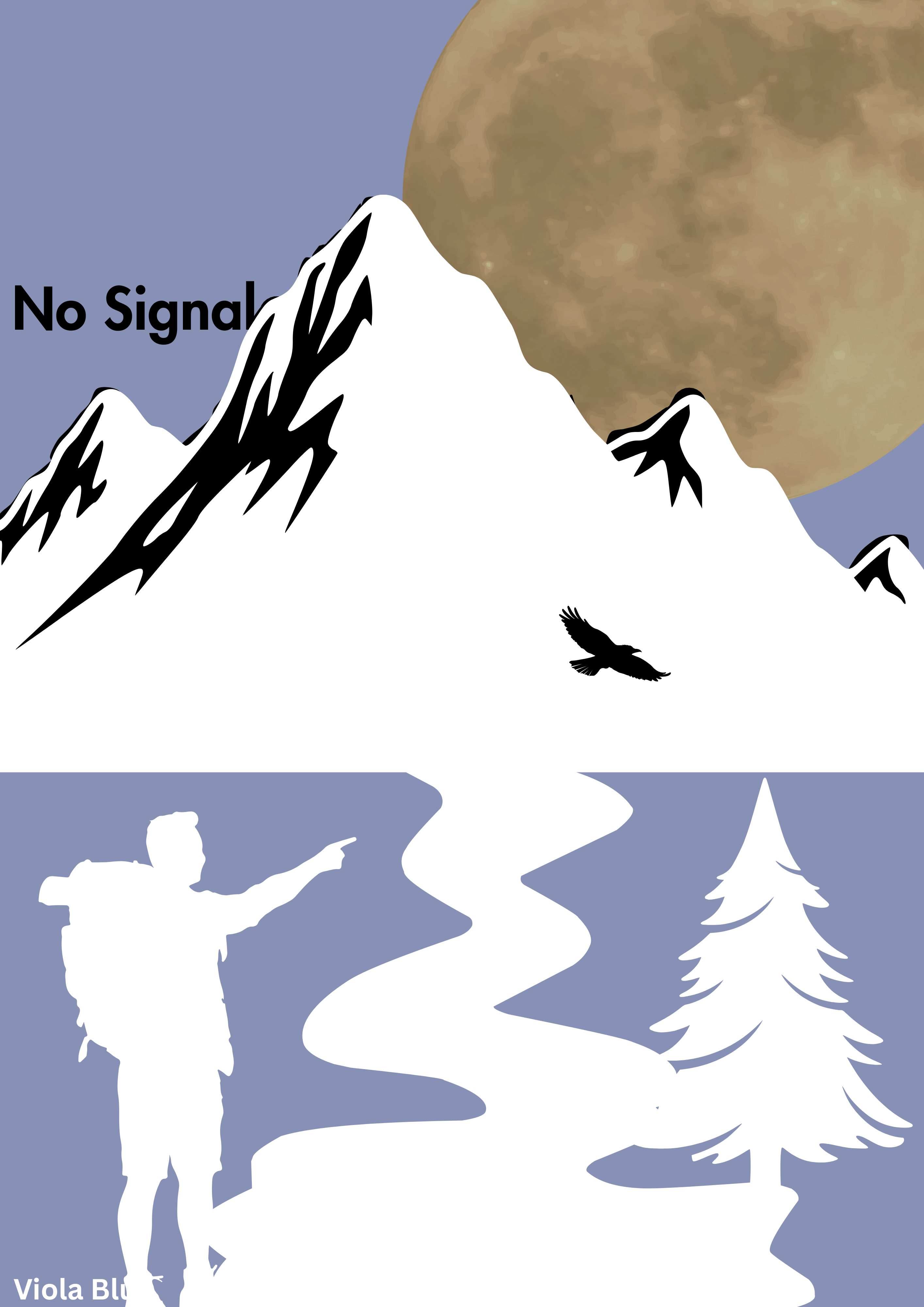 No Signal
