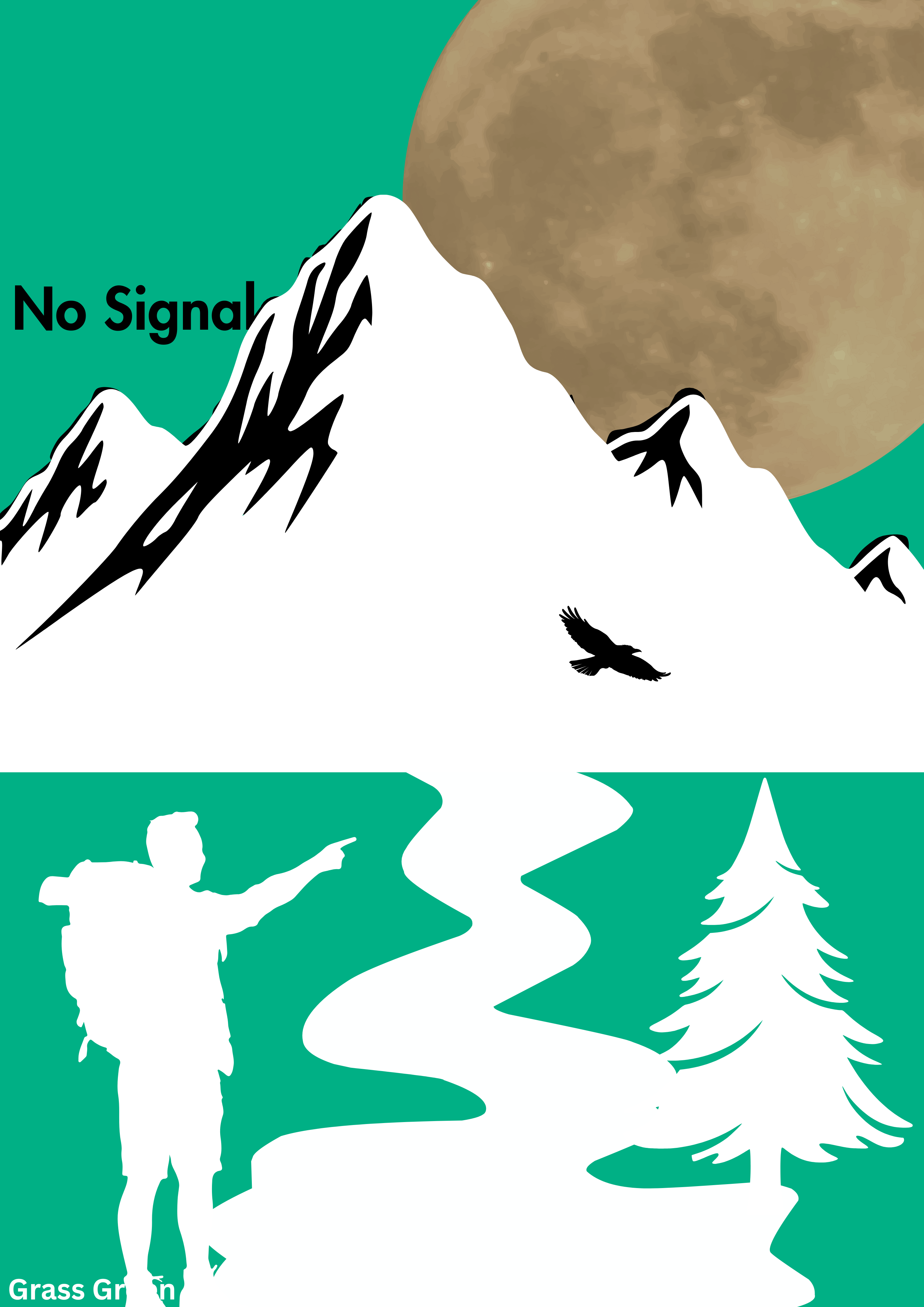 No Signal